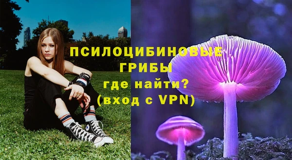 ALPHA PVP Баксан