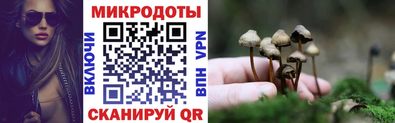 Галлюциногенные грибы мицелий  Верхняя Салда 